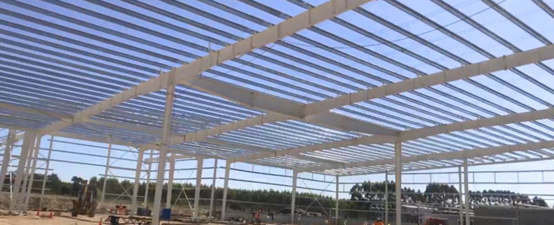 Lideramos los estudios y ensayos para la obra de Lumin Forest Products en Tacuarembó