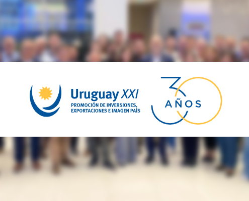 LINSU fortalece sus conexiones en Paraguay y proyecta la ingeniería uruguaya en la región